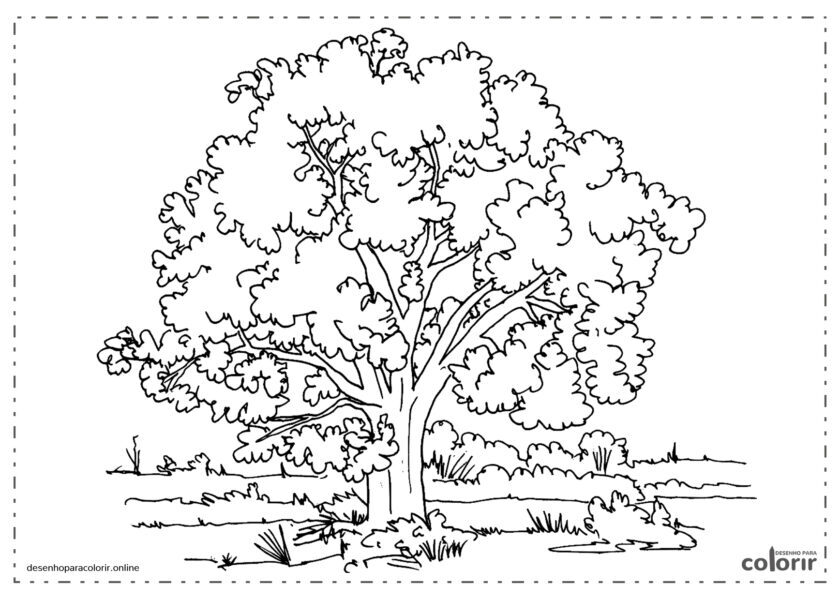 Árvore com muitos ramos