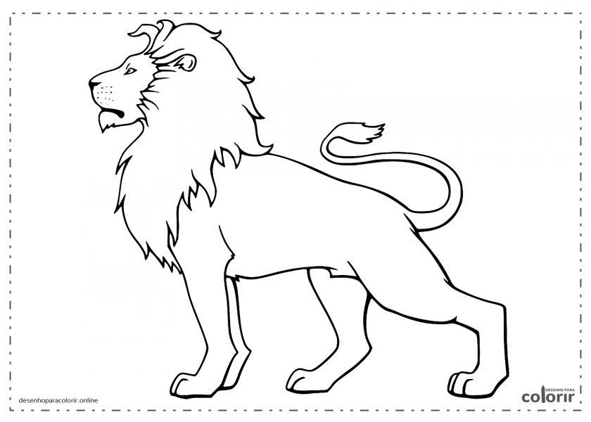 Leão Bonito