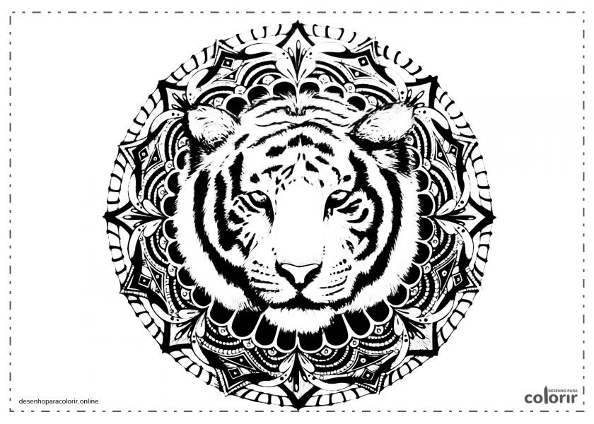 Mandala Tigre