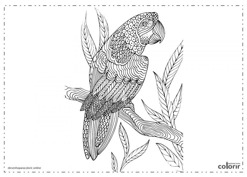 Mandala Papagaio